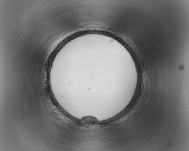 X0000115590926200912011459