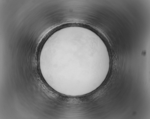 X0000115590927200912011459
