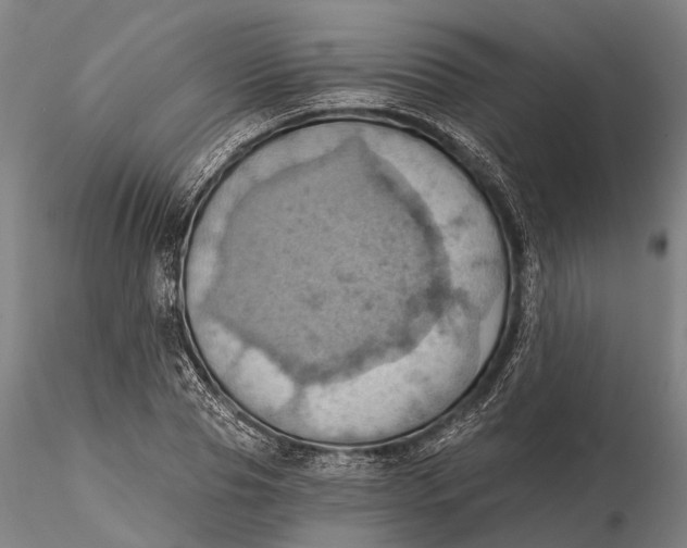 X0000115590929200912011459
