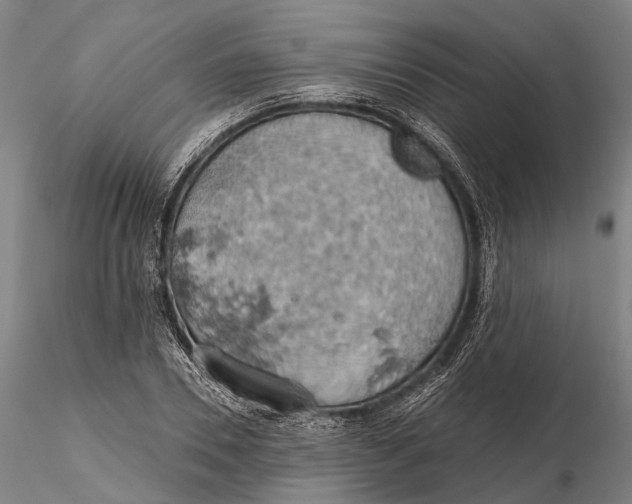 X0000115590930200912011459