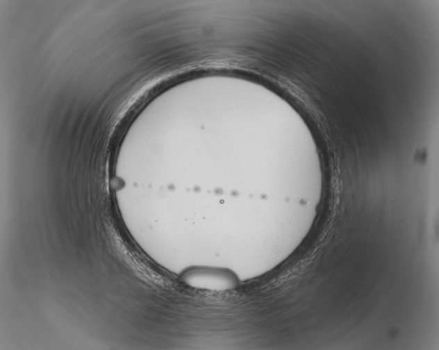 X0000115590934200912011459