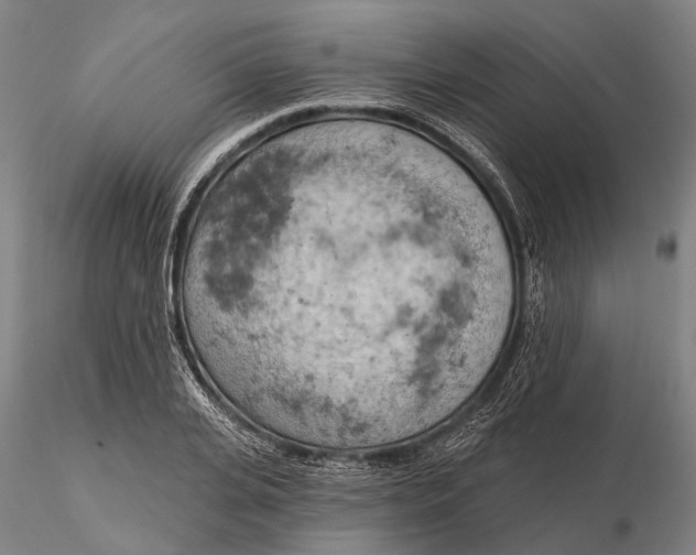 X0000115590935200912011500