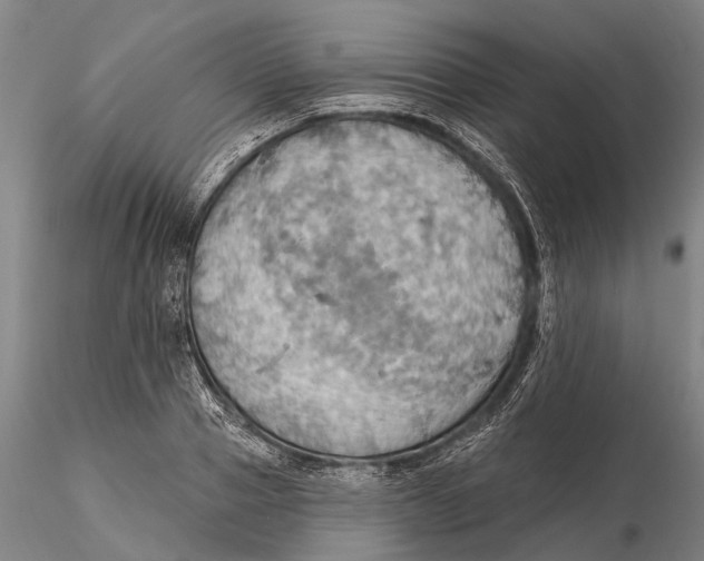 X0000115590937200912011500