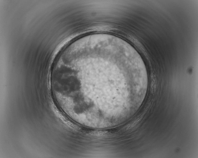 X0000115590939200912011500
