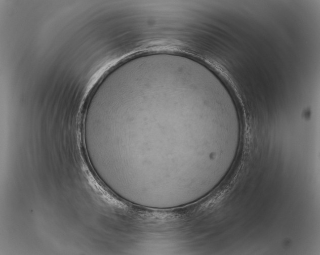 X0000115590941200912011500
