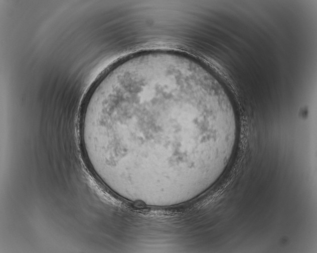 X0000115590942200912011500