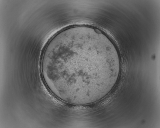 X0000115590943200912011500