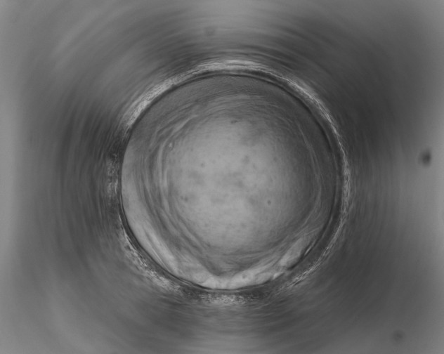 X0000115590945200912011500