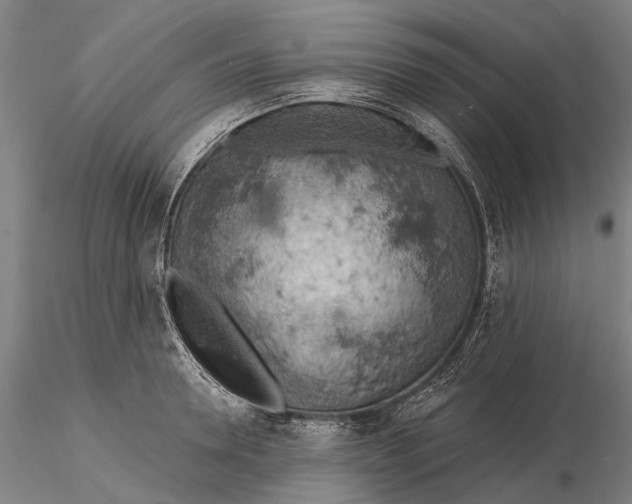 X0000115590946200912011500
