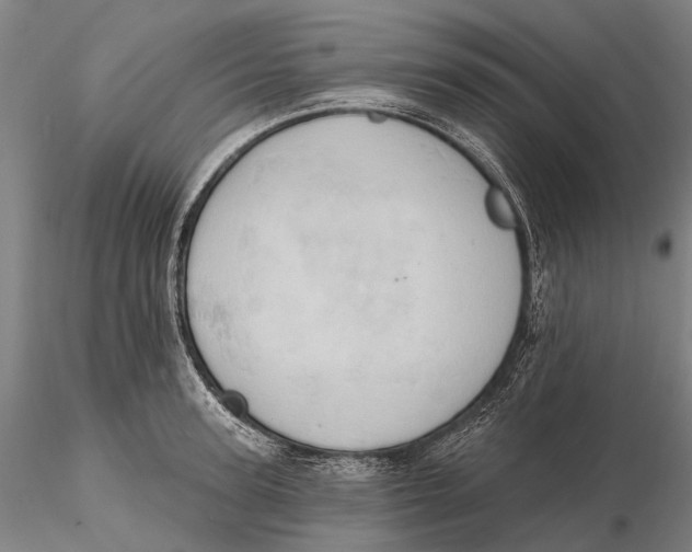 X0000115590947200912011500