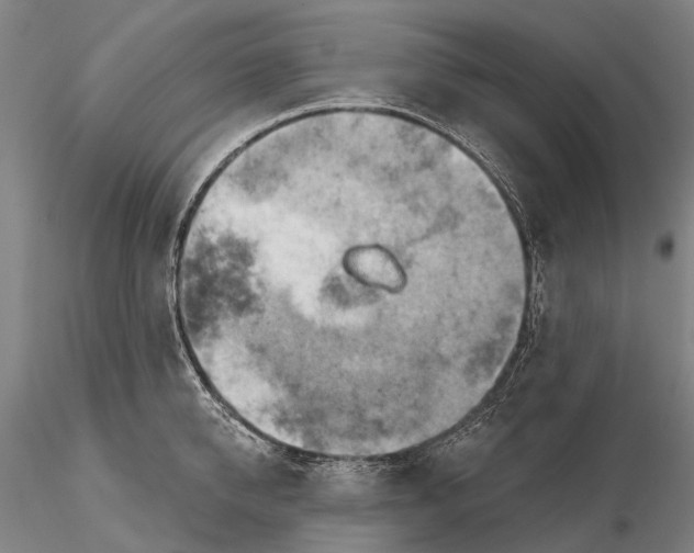 X0000115590950200912011500