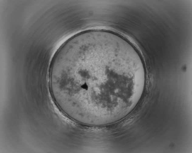X0000115590951200912011500