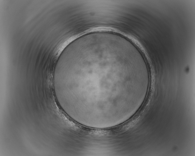 X0000115590953200912011500