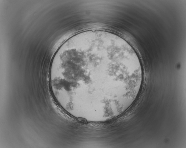 X0000115590954200912011500