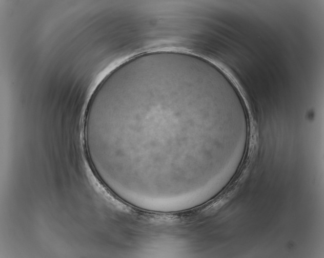 X0000115590957200912011500