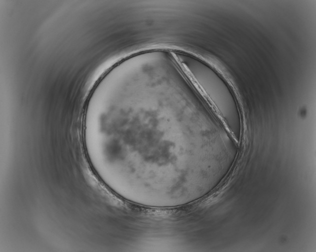 X0000115590958200912011500