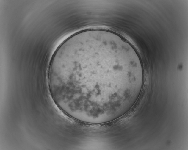 X0000115590959200912011500