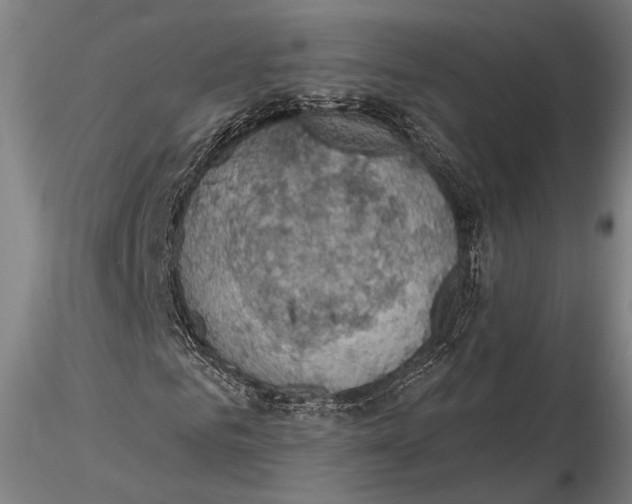 X0000115590961200912011459