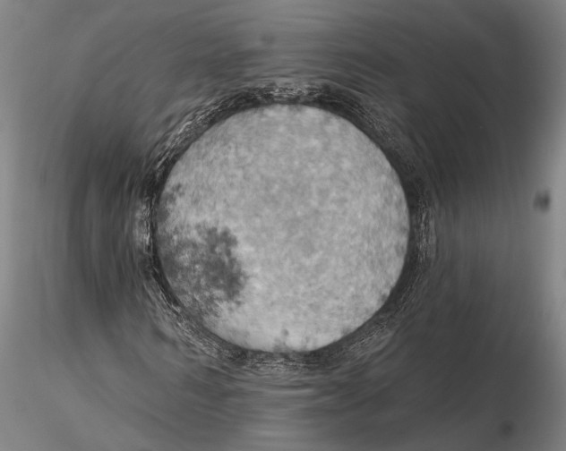 X0000115590962200912011459