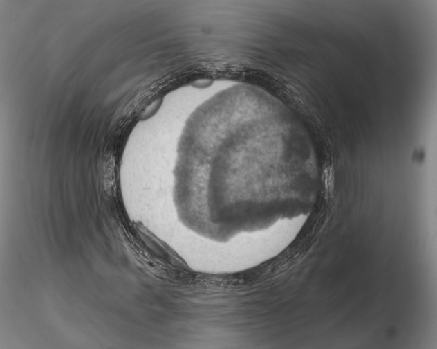 X0000115590963200912011459