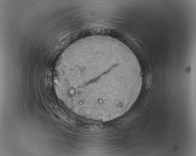 X0000115590964200912011459