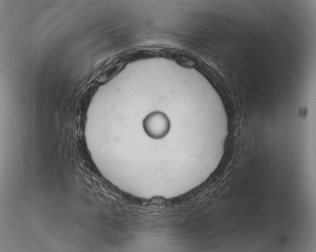 X0000115590965200912011459