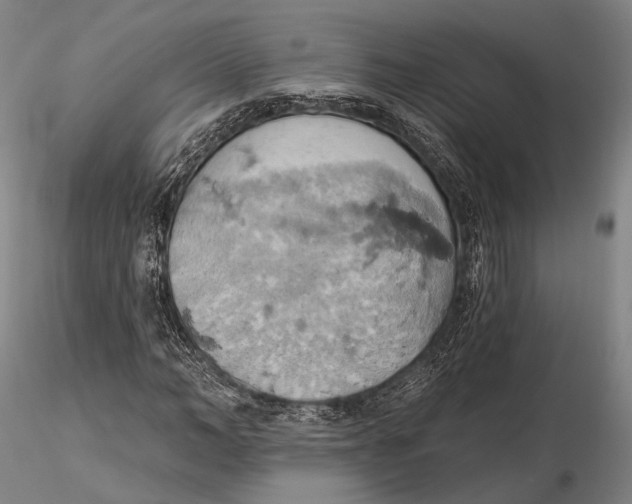 X0000115590966200912011459