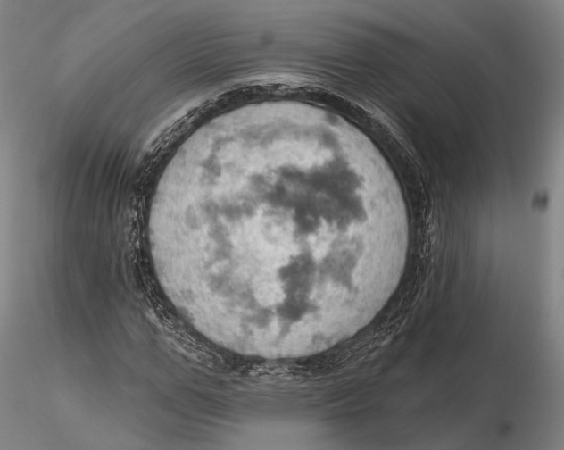 X0000115590967200912011459