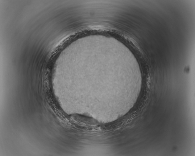 X0000115590968200912011459