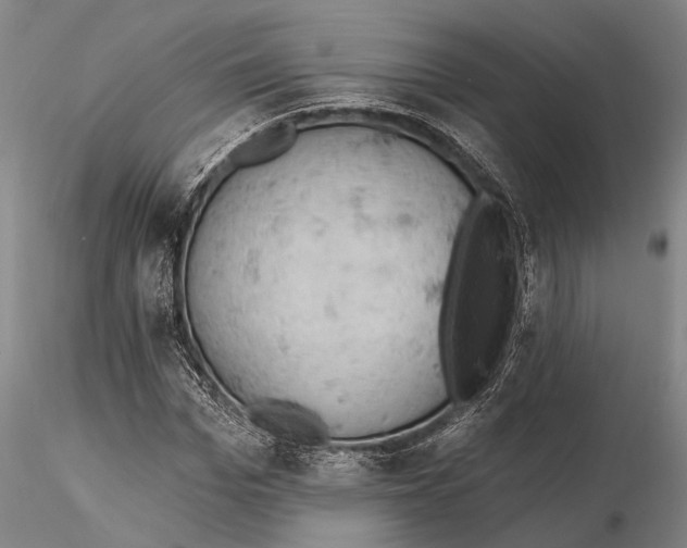 X0000115590969200912011459