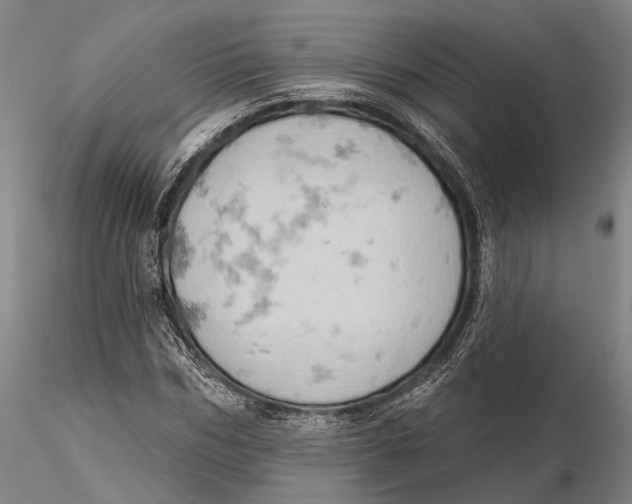 X0000115590970200912011459
