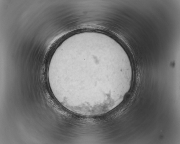 X0000115590971200912011459
