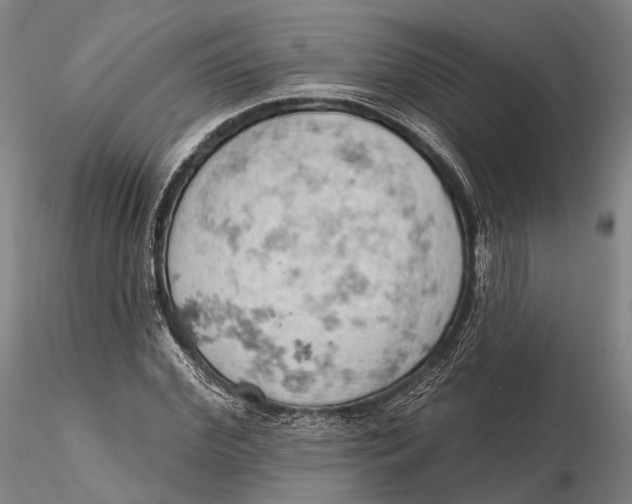 X0000115590972200912011459
