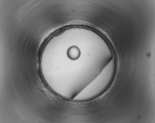 X0000115590973200912011459
