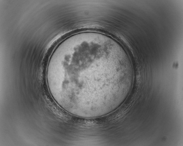 X0000115590975200912011459