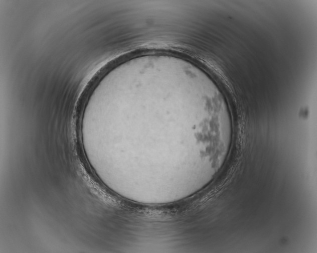 X0000115590976200912011459