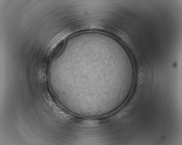 X0000115590977200912011459