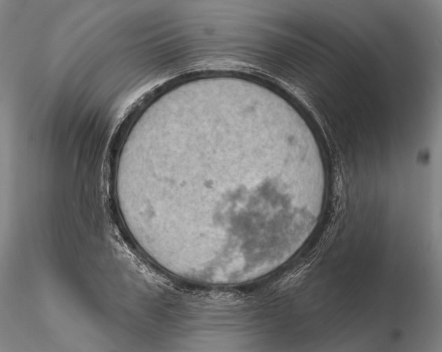 X0000115590979200912011459