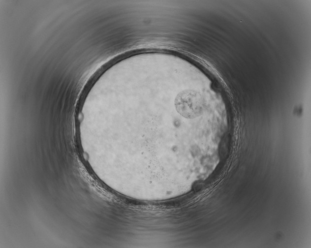 X0000115590980200912011459