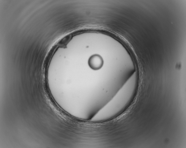 X0000115590981200912011459