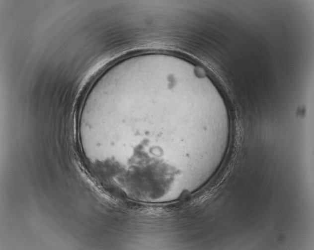 X0000115590982200912011459