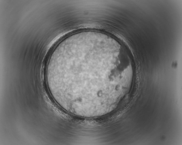 X0000115590983200912011459