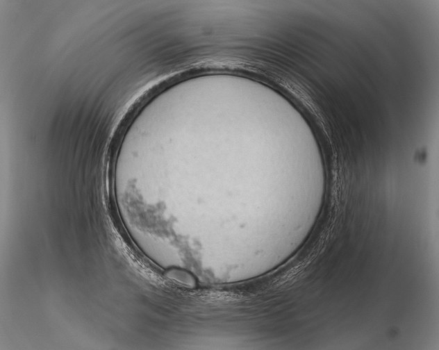 X0000115590984200912011459