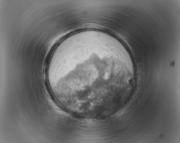 X0000115590987200912011459
