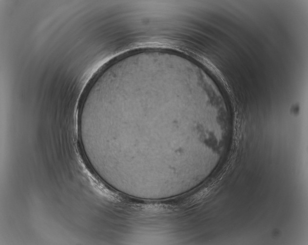 X0000115590988200912011459