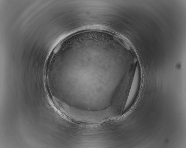 X0000115590989200912011459