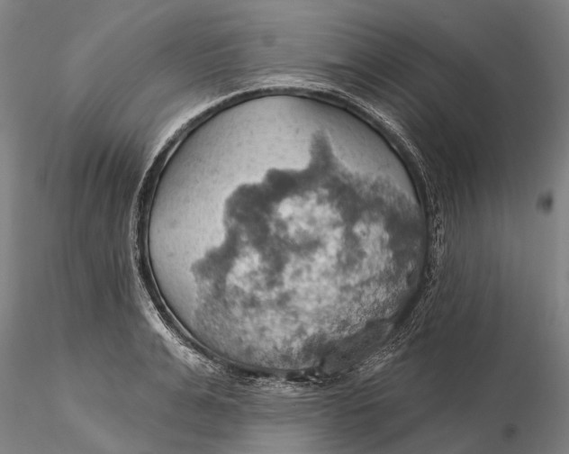 X0000115590991200912011459