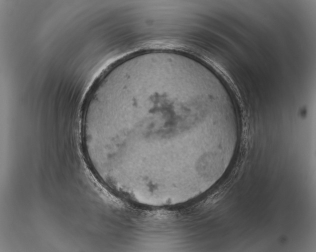 X0000115590992200912011459