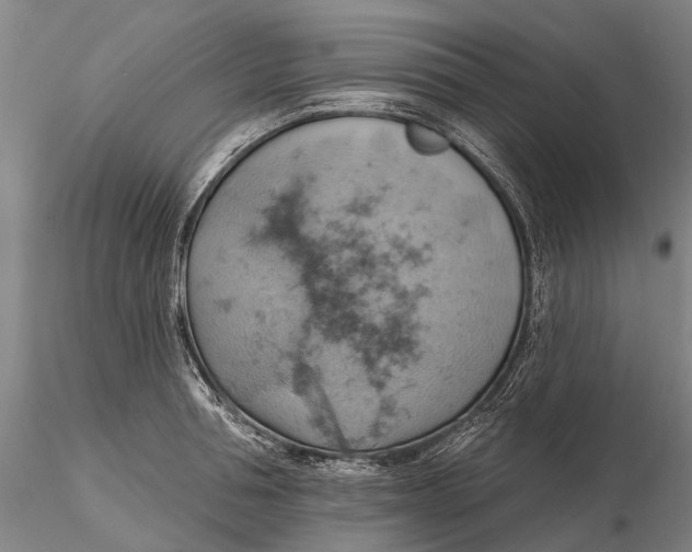 X0000115590994200912011459