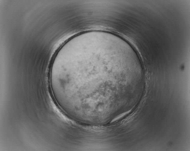 X0000115590995200912011459